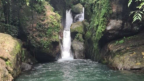 Kadavu Puzha Waterfalls